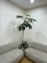 -HEYAN荷妍专业脱毛连锁机构