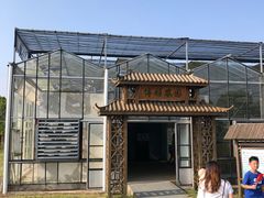 -上海都市菜园