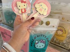 -安吉Hello Kitty乐园