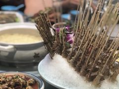 -金龙·打边炉(南京西路店)