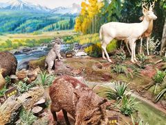 -陕西自然博物馆