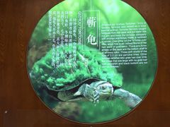 -李时珍纪念馆