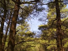 -苍山感通索道