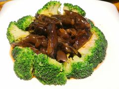 -茂港柏香(侨港路店)