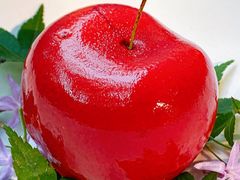 -王府茶楼茶宴·创意菜(朝阳公园店)