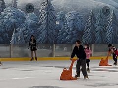 -世界之窗阿尔卑斯冰雪世界