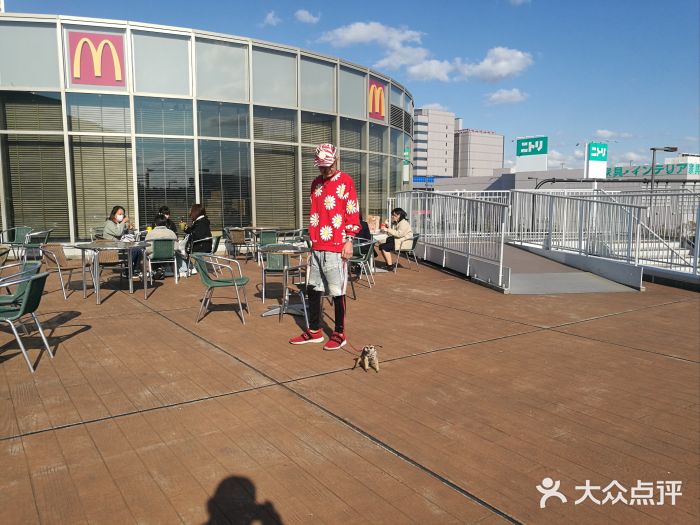 大阪国际机场图片