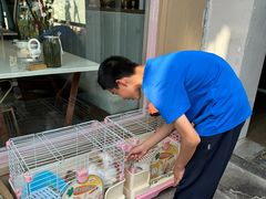 -后海16号·北京私房菜