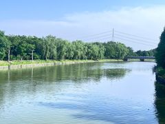 -同里国家湿地公园