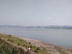 -张坝桂圆林公园