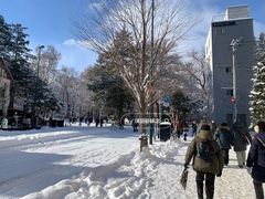 -北海道神宫
