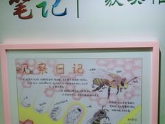 -上海昆虫博物馆