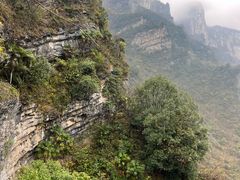 -鹿院坪生态旅游景区