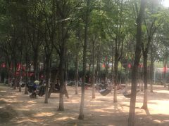 -草根堂农场