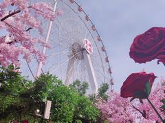-东湖生态旅游风景区