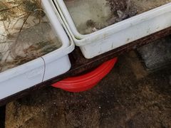 -拉威海鲜市场