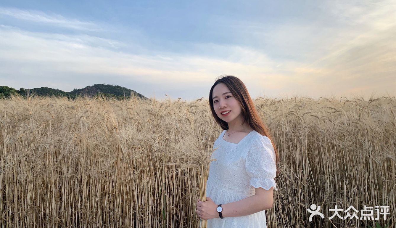 杭州滨江的麦田,在夕阳下奔跑吧