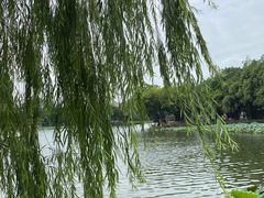 -荔湾湖公园