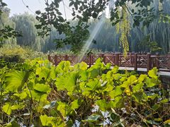 -丰台科技园生态主题公园