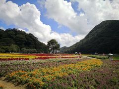 -广州市石门国家森林公园