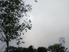 -盘龙城国家考古遗址公园