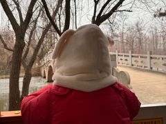 -日照海滨国家森林公园