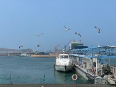 -海驴岛(荣成市)
