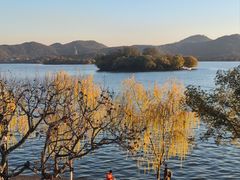 -楼外楼(西湖景区孤山路店)