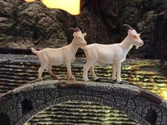 -菩提树·素食餐厅(汇智国际商业中心店)