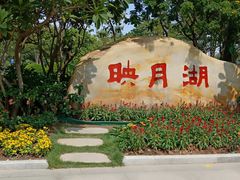 -映月湖公园