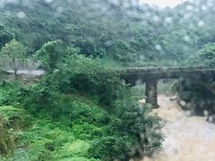 -武陵山森林公园
