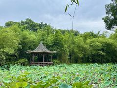 -大屏嶂森林公园