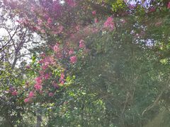 -沂蒙山旅游区云蒙景区(蒙山国家森林公园)