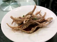 -宝轩渔府·老字号海鲜·正宗津菜(水上店)