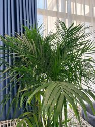 -郑州缔莱美医疗美容医院