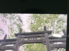 -杭州黄龙洞