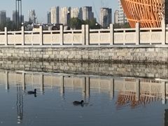 -保定东湖公园(莲池区)