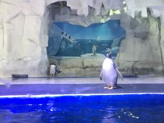 -华夏文旅海洋公园