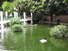 -九龙公园