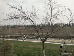 -洨河生态公园