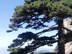 -天柱山风景区