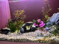-上海海洋水族馆