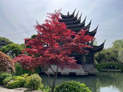 -韩湘水博园