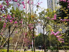 -苏州河梦清园环保主题公园