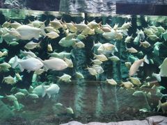 -南昌融创海世界