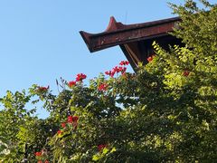 -清远熹乐谷温泉度假酒店
