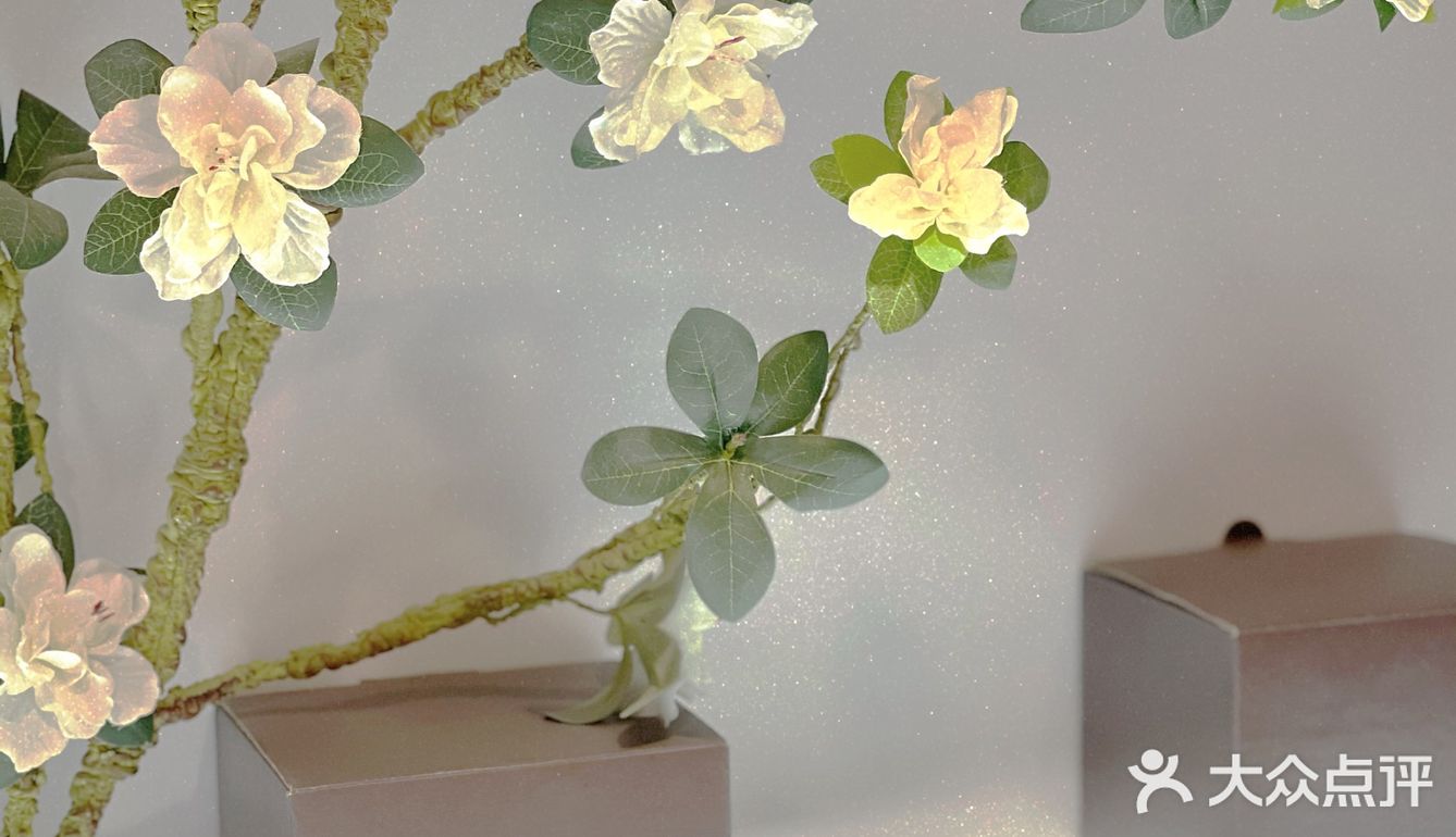 不负春光！来汉神，看看有哪些宝藏店铺值得打卡[礼物]