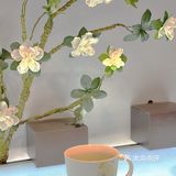 不负春光！来汉神，看看有哪些宝藏店铺值得打卡[礼物]