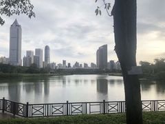 -万绿园