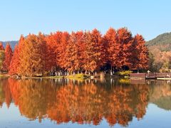 -浙江农林大学(东湖校区)